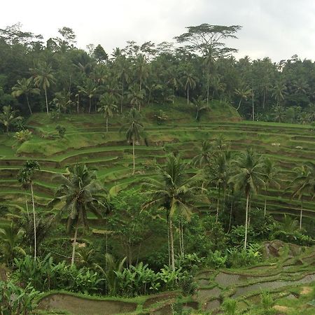 Pangkung House Apartman Ubud Kültér fotó