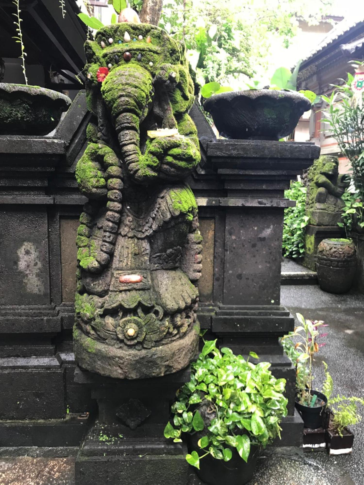 Pangkung House Apartman Ubud Kültér fotó