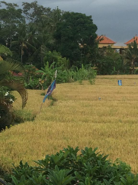 Pangkung House Apartman Ubud Kültér fotó